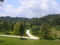 -风云岭森林公园