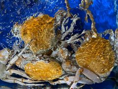 -盒马鲜生(顺义店)