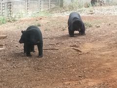 -昆明动物园