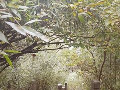 -敬亭山风景名胜区