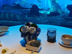 -亚特兰蒂斯•OSSIANO奥西亚诺海底餐厅