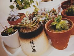 -稀物集咖啡(徽州大道店)