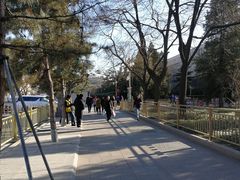 -中国公安部总部大楼