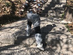 -紫金山天文台