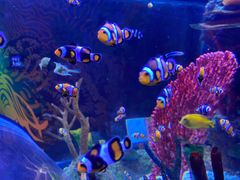 -沈阳海洋探索中心