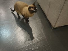 -吱咖啡西式简餐