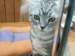 -龟与熊猫宠物公园(南坪店)