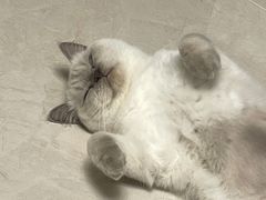 -北京恒爱动物医院(清景园分院)