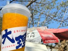 -大理洱海