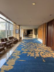 -上海浦东喜来登由由大酒店·宴会厅