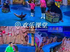 -烟台海昌鲸鲨海洋公园