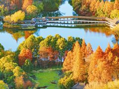 -九曜山