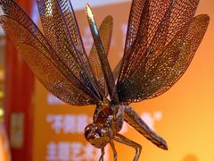 -北京中国大饭店