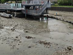 -贡湖湾湿地公园
