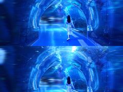 -哈尔滨波塞冬海底世界