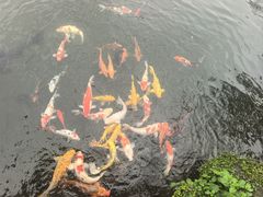 -杭州西湖柳莺里酒店