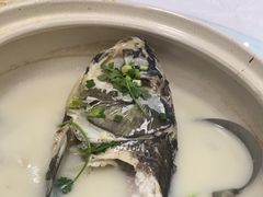 -天乐农家鱼头王(天目湖店)
