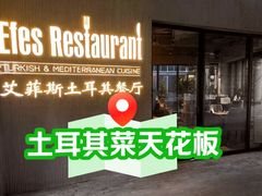 -Efes Turkish & Mediterranean Cuisine 艾菲斯餐厅(陆家嘴店)
