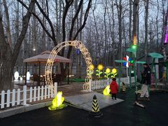 -枫花园汽车电影院(朝阳公园店)