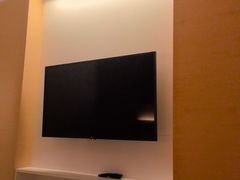 -新加坡柏薇罗切斯特酒店