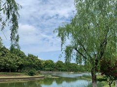 -上海鲜花港