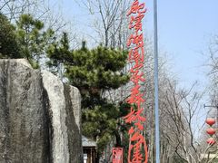 -合肥滨湖国家森林公园