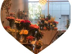 -dotcom coffee古点咖啡(致真大厦店)