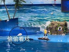 -多彩贵州城极地海洋世界