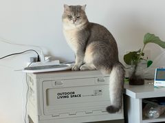 -博特宠物医院24h犬猫全科.骨科·异宠
