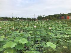 -上海怡沁园度假酒店