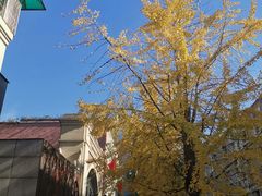 -慢熟面包店bud bread(孩儿巷店)