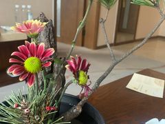 -九华山聚龙大酒店