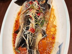 -靖远尕六美味羊羔肉