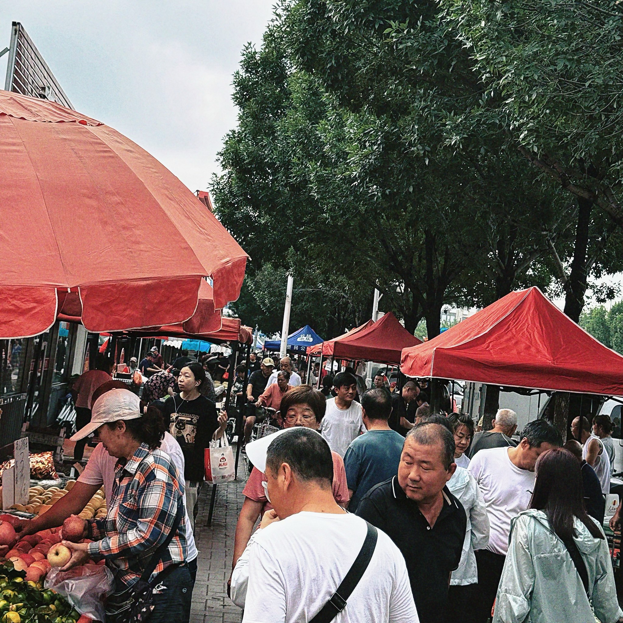 民园市集图片