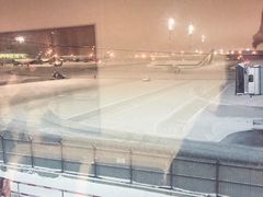 -谢列梅捷沃国际机场