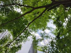 -首开·龙湖成都西宸天街