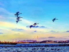 -莫内艺术岛海景咖啡