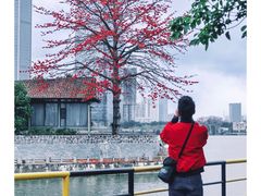 -喜洲吧·江畔老船厂·庭院餐厅(喜临院店)