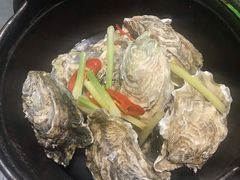 鲜焗生蚝-九道菜有鸡鱼头(石鼓路店)