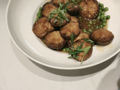 -海派美食·家宴海鲜青岛菜·石锅鲽鱼头(东方城店)