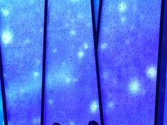 -水之梦(黄浦店)