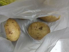 -鑫朱雀农贸批发市场-地下停车场