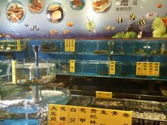 水产区-新东城喜宴海鲜酒家(同德店)