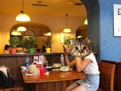 -绝城芋儿鸡(犀浦旗舰店)