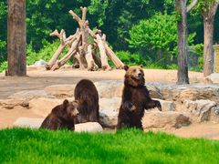 -石家庄市动物园