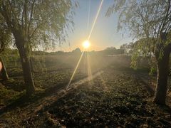 -艾溪湖湿地公园