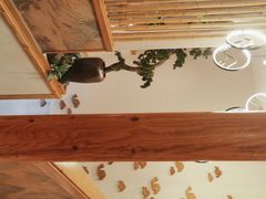 -上座云间·青年赣菜(绿茵店)