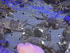 -澜悦港海鲜体验主题餐厅
