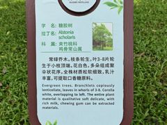 -海珠湖公园