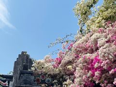 -深圳国际园林花卉博览园